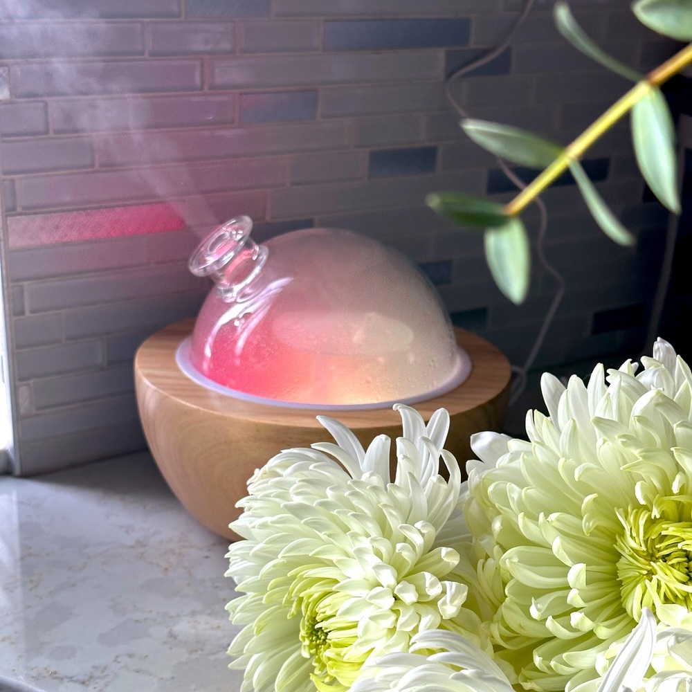 Brand new Glass Dome Humidifier